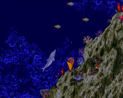 Ecco The Dolphin